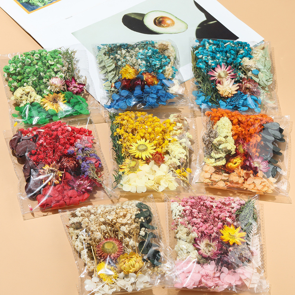 Flores Secas Preservadas Materiais Resina Epóxi Velas DIY Florais Hortênsia Uma Variedade De Em Um Pacote