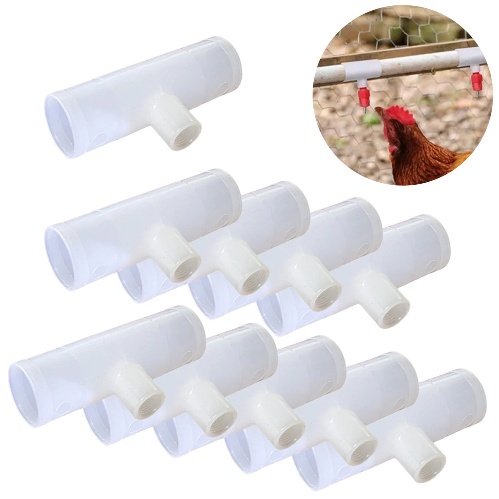 Kit 10 Conector T 25mm 3/4 Para Bebedouro Galinha Adaptador