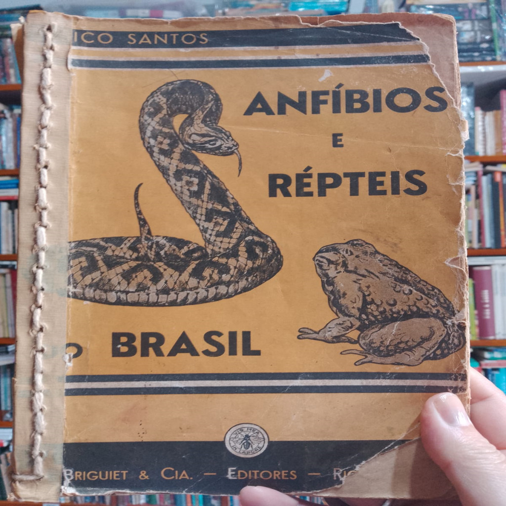 Anfíbios e Répteis do Brasil - Vida e Costumes - Desenhos de Marian Colonna autor Eurico Santos