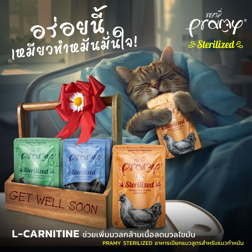 [ยกโหล12ซอง] Pramy อาหารเปียกแมวพรามี่ ส่งทุกวัน(คละรสชาติได้) - ภาพที่ 3