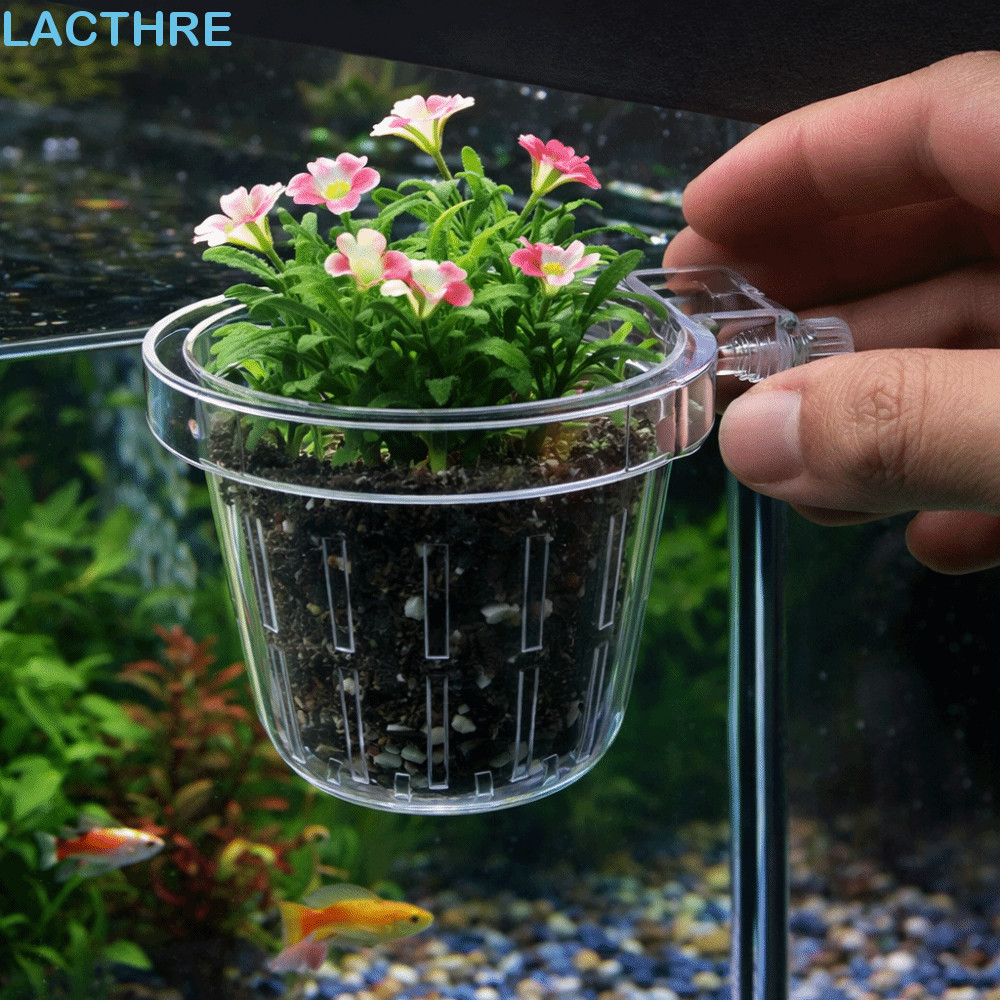 Copo De Grama Para Tanque De Peixes LACTHRE , Cesta Transparente Redonda Plantio De Aquário , Suporte Plantas Aquáticas 