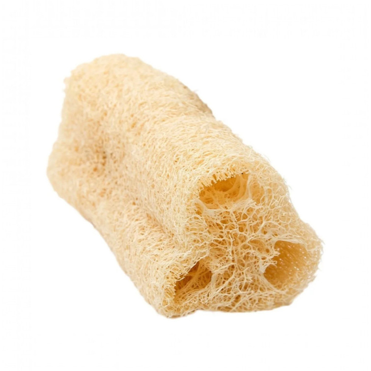 Kit Com 5 Bucha Esponja Vegetal Natural Ecológica Para Banho Esfoliação