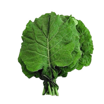 Couve Manteiga Orgânica Sítio Cambara em Oferta na Shopee