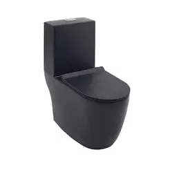 Vaso Sanitário Monobloco Amazonita Pingoo - Preto
