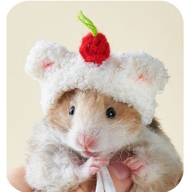 Touca de Lã para Hamster e Porquinho da Índia Mini Chapéu Pet Tricô Artesanal p/ Fotos 🐹✨