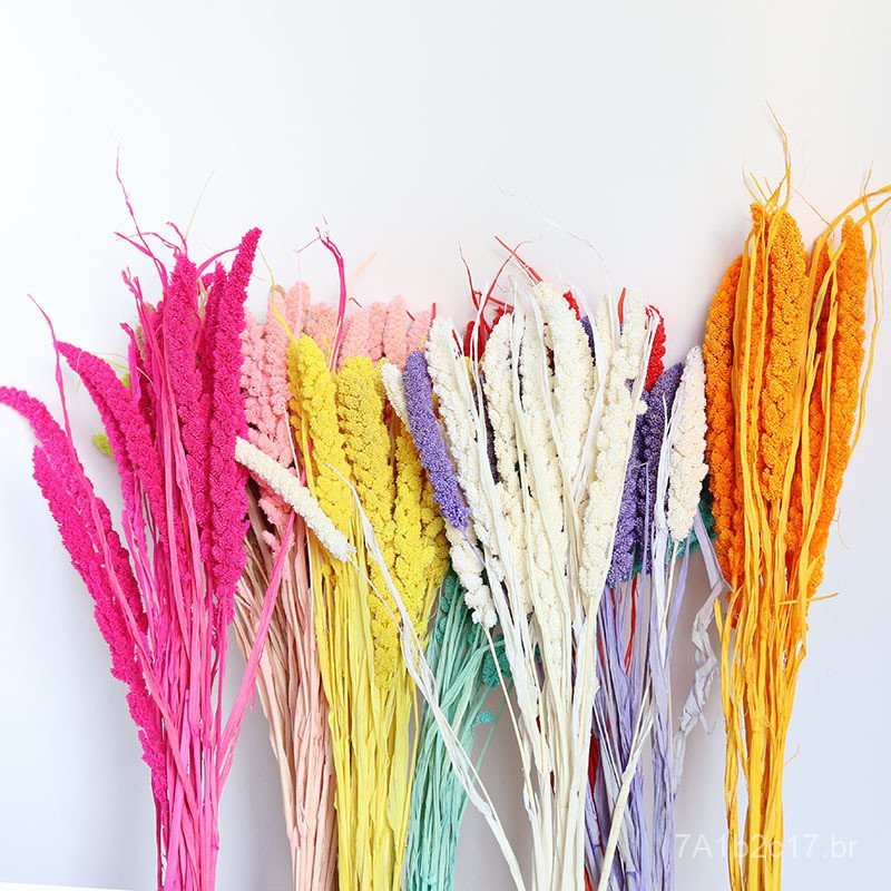 Flores secas naturais, espigas de milheto, cauda de urso, decoração para casa, acessórios para fotografia, paisagem selv