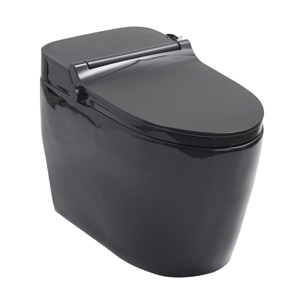 Vaso Sanitário Monobloco Caixa Acoplada Privada Bidê Celestita Pingoo - Preto