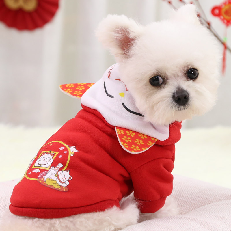Filhote de cachorro roupas de gato Teddy francês luta Corgi Bichon Pomeranian Shiba Inu Schnauzer pequeno cão de tamanho