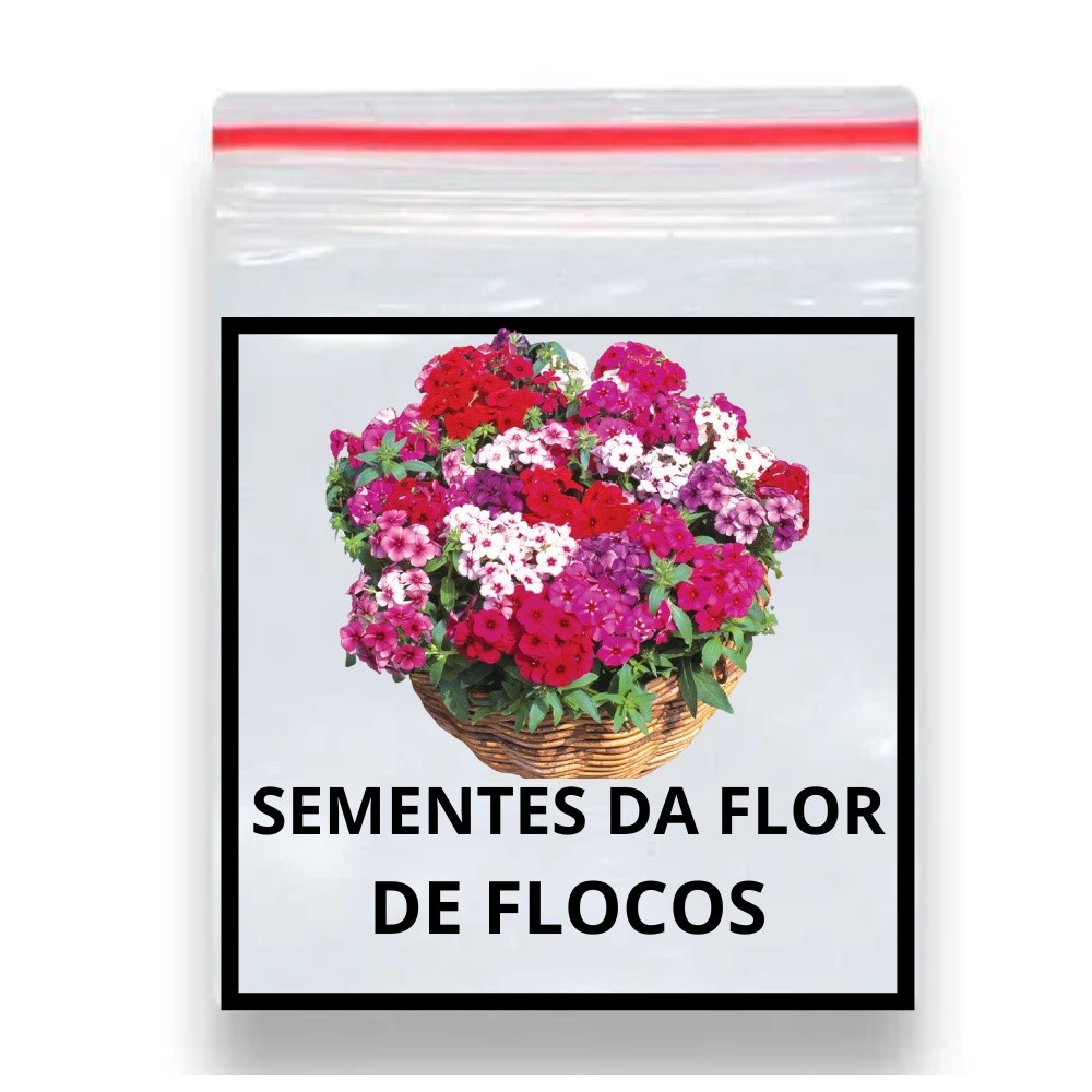 Sementes da Flor de Flocos Drummond Multicoloridas para Jardins