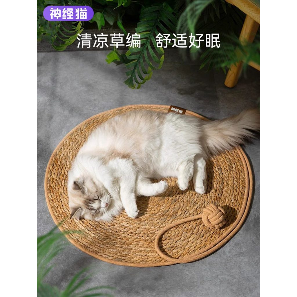 Tapete de gato quatro estações Universal gato legal esteira para dormir Pucao esteira maca de gato verão tapete de dormi