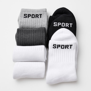 12 Pares de Meias Cano Alto Algodão Unissex 37-44（meia Sport--001） em Oferta na Shopee