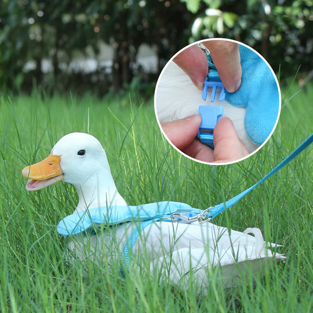 Pet Cole Pato Arnês Trela Anjo Balanço Design Suprimentos Para Animais De Estimação Acessórios Adequados Gato Gatinho Fr