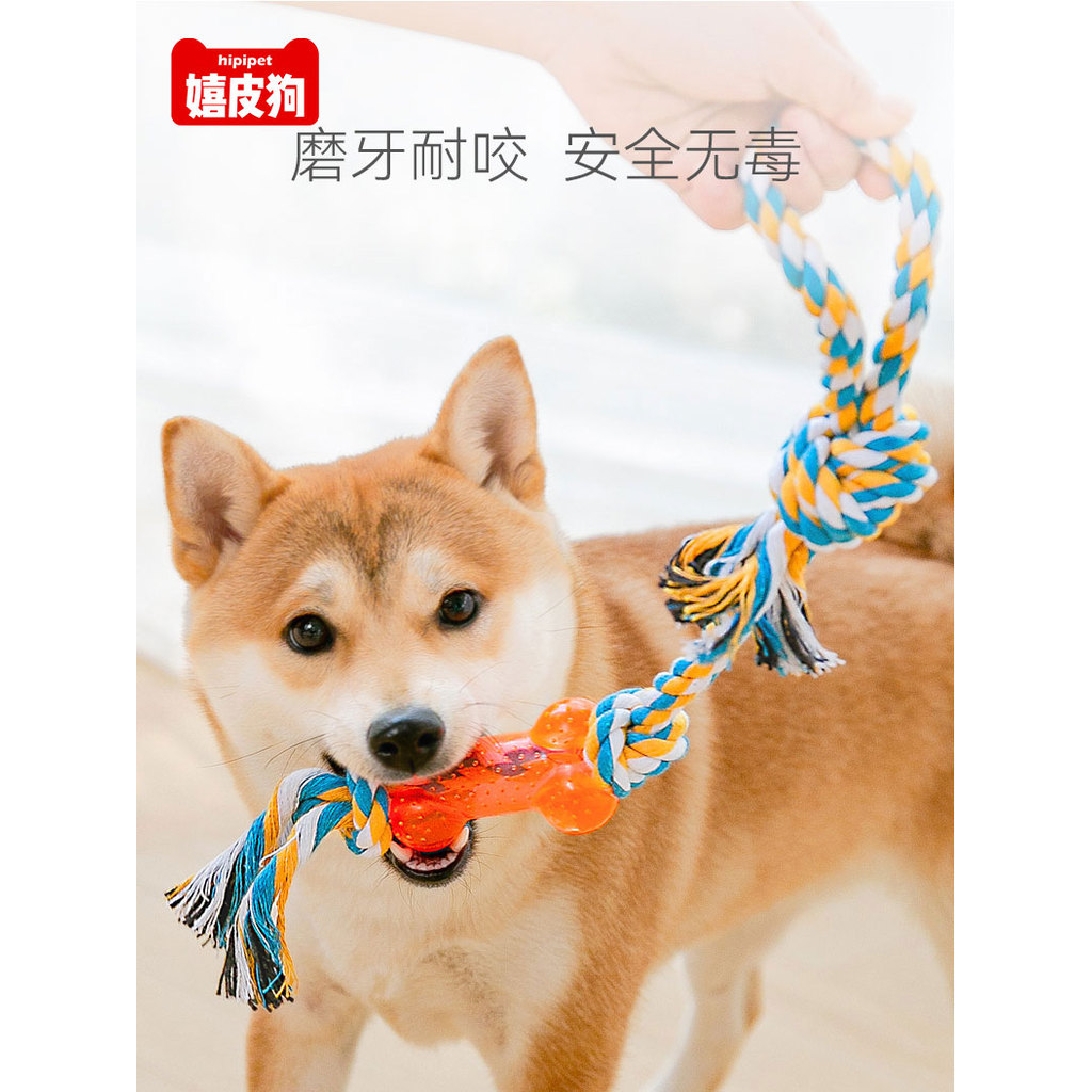 Filhote de cachorro brinquedo nó mordida corda Teddy Corgi Molar rebocador de guerra chinelos grande escala cão puxar co