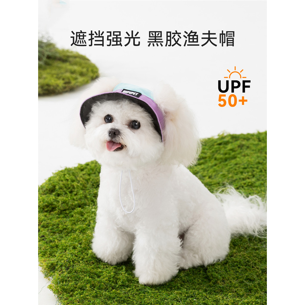 Chapéu de passeio para cachorro Bichon Corgi Shiba Inu Chapéu de sol para gato dedicado sem orelhas protetor solar para 