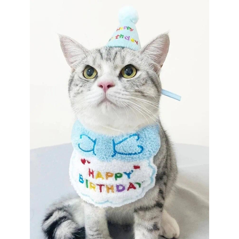 Babador De Aniversário Para Cachorro E Gato , Chapéu De Festa , Mini Cachorrinho , Bandana Ajustável , Cachecol , Roupa