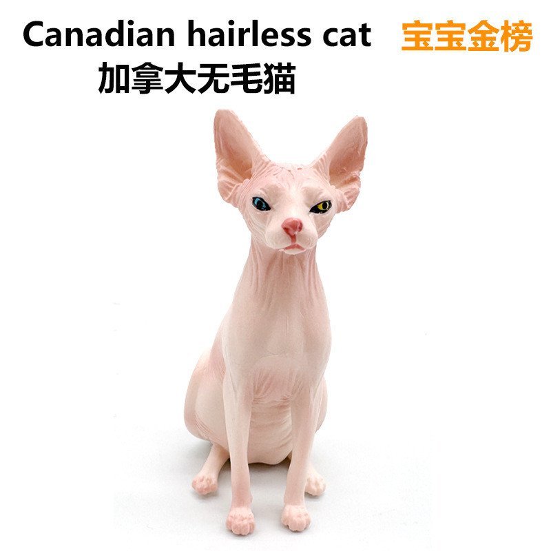 Modelo de Gato Simulado para Crianças - Brinquedo de Figura de Gato Sphynx Canadense Sem Pelo