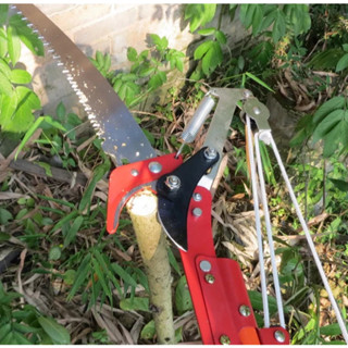 Serrote Podador De Galho Alto 2 Em 1 Poda Com Serrote Podador de Galhos Profissional em Oferta na Shopee