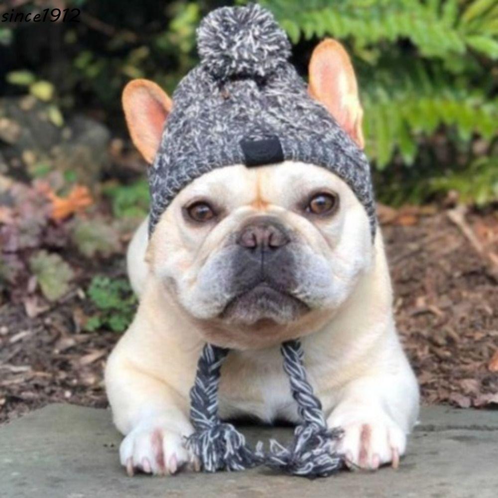 Desce Chapéus De Malha Para Cães , Bonés Quentes À Prova De Vento Animais De Estimação De Inverno , Buracos De Orelha De