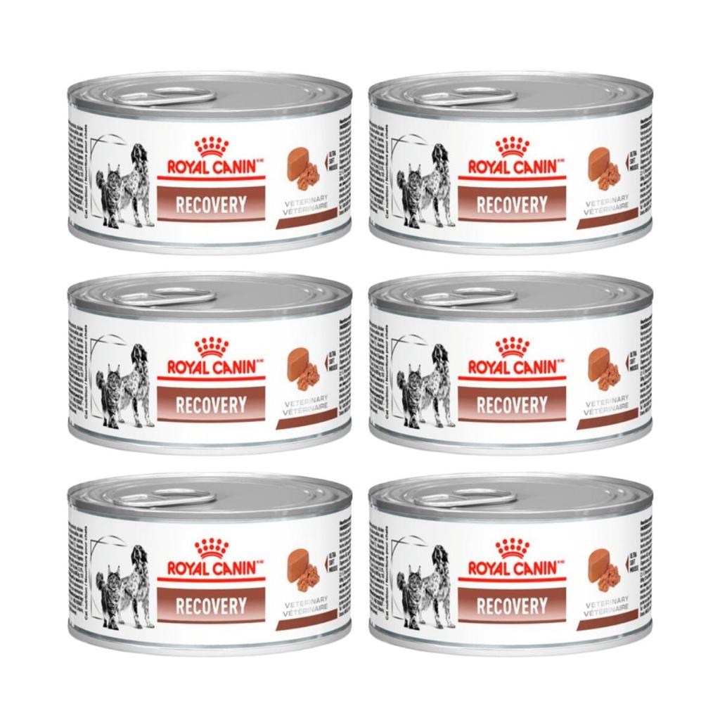Kit 6 Ração Úmida Royal Canin Recovery Lata Cães E Gato 195g
