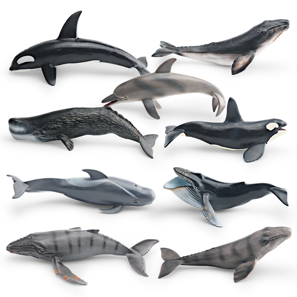 Modelos de Ornamentos de Animais Marinhos para Simulação Cognitiva Infantil: Baleia Cinzenta, Orca, Cetácea, Golfinho Ma