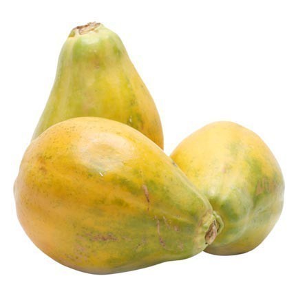 1000 Sementes De Mamão Anão - Kit 3 Variedades da Fruta para Mudas e Vasos