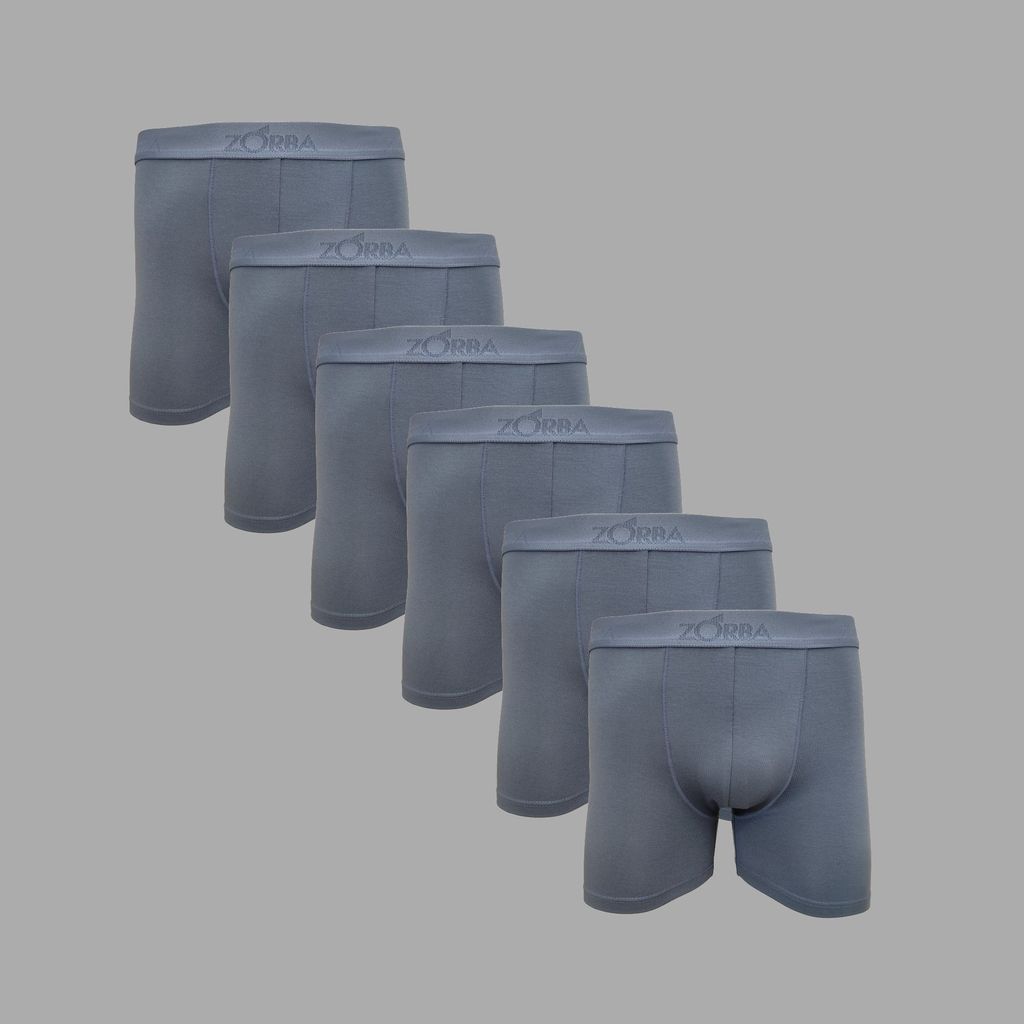 Kit 6 Cuecas Zorba Boxer Fit Modal 689