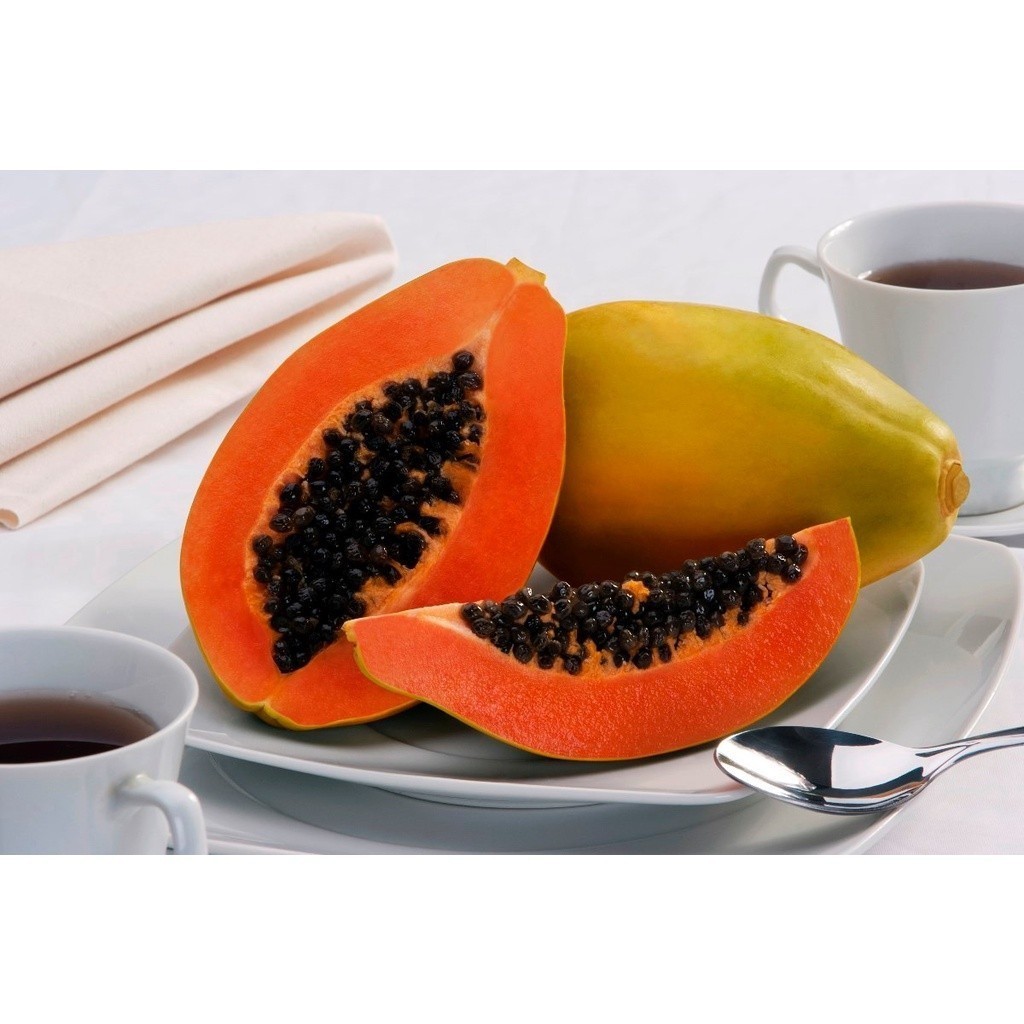 Kit 1000 Sementes de Mamão Anão Sunrise Papaya para plantio de Mudas da fruta