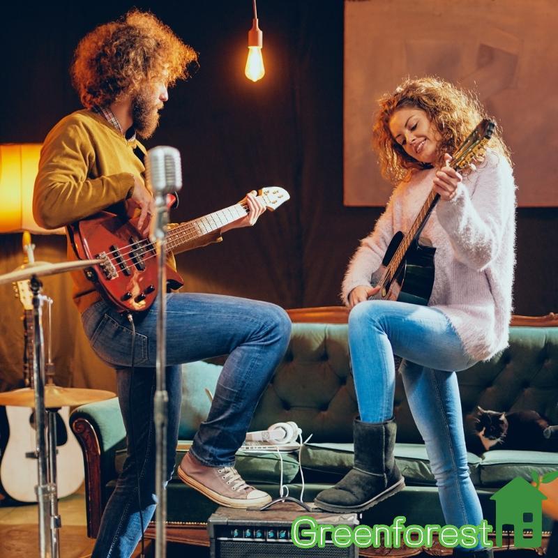 greenfor Capa Captação Grau Profissional, Captador Guitarra Elétrica