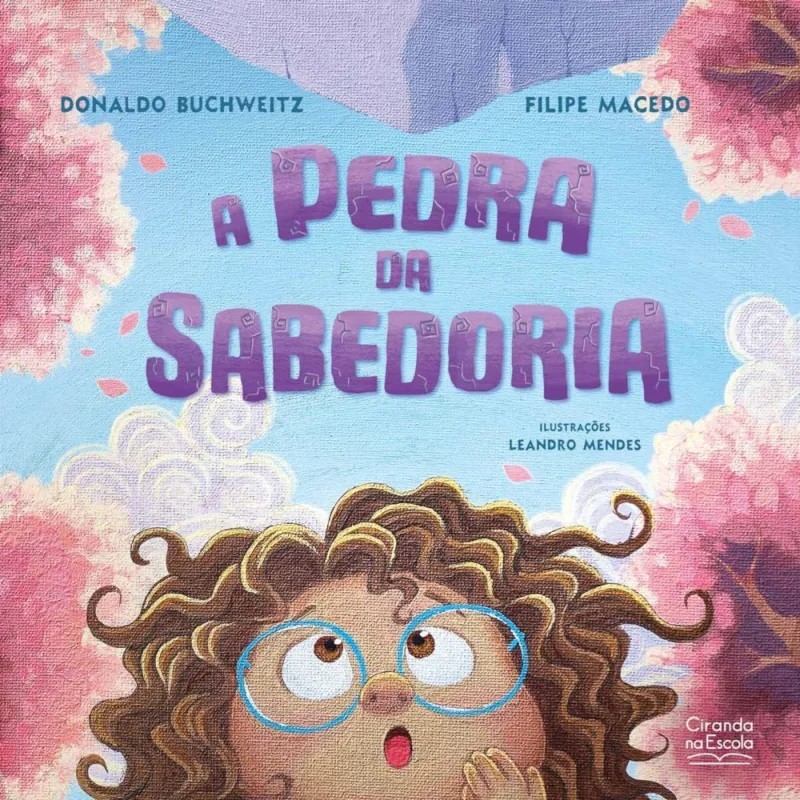Livro Literatura Infantil - A Pedra da Sabedoria - Ciranda na Escola