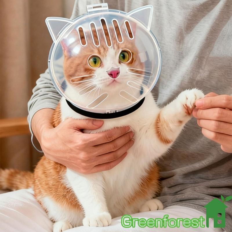 greenfor Capacetes Espaciais Para Gatos Estimação, Capa Cabeça, Banho, Corte Unhas