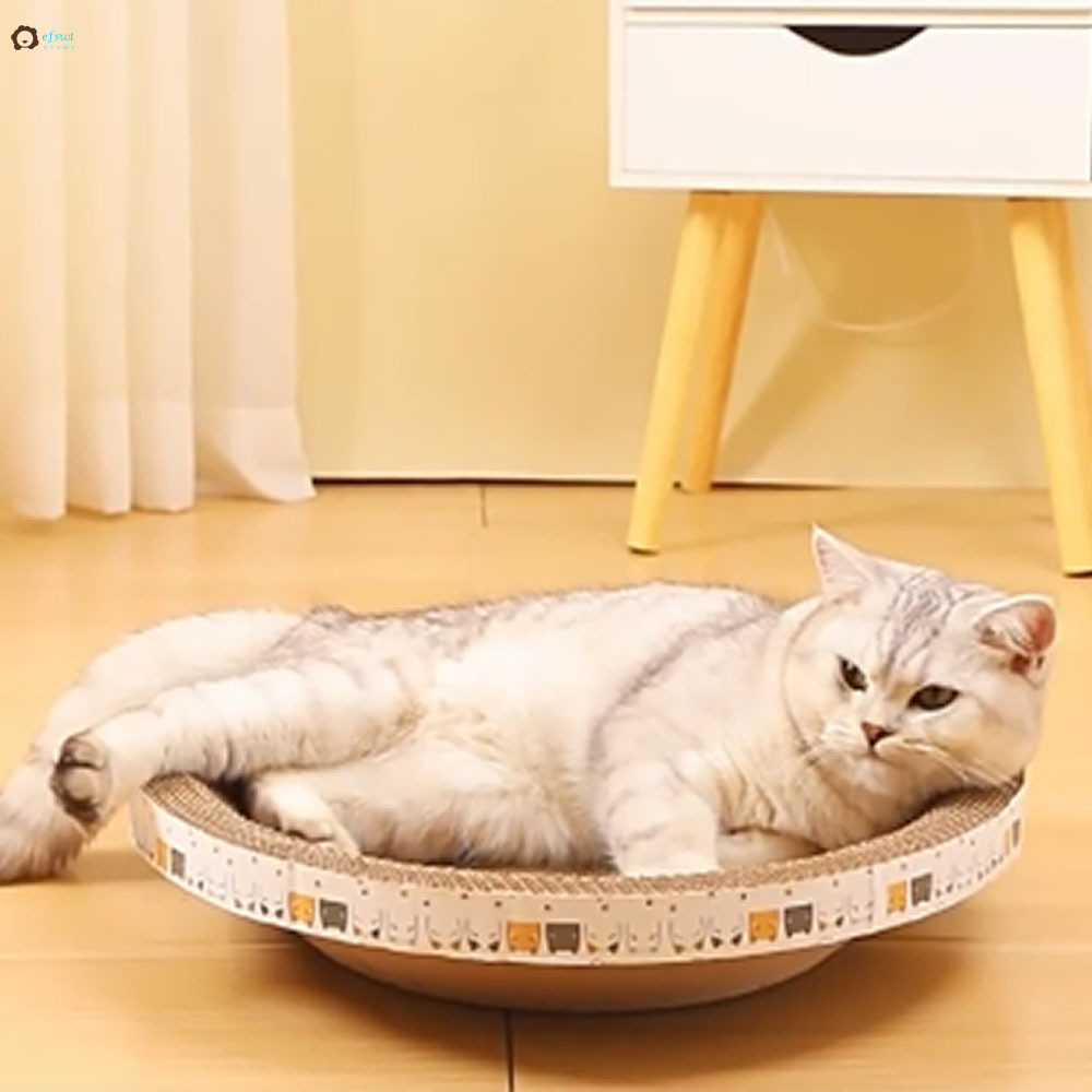 Gato Arranhando Tigela Brinquedo Alívio Do Estresse Animal De Estimação Coçar Para Ficar