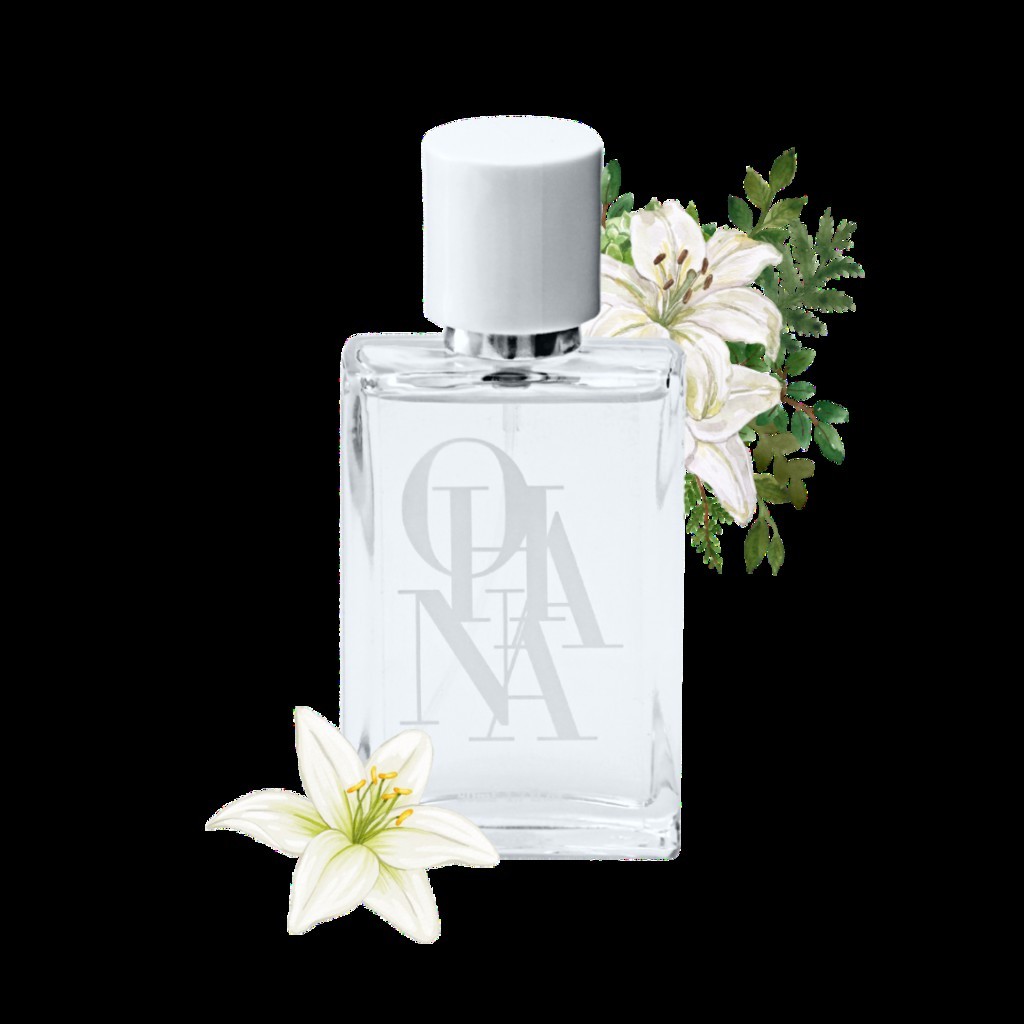 O que é Baiser Vole? Guia e Onde Comprar | BuscaProdutos