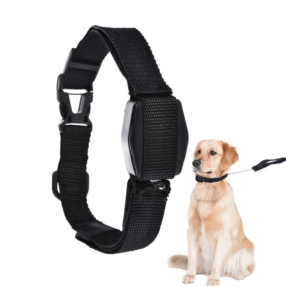 Coleira e Guia Retrátil 2 em 1 para Cães e Gatos, Magnética, 1,45m de Comprimento, Sistema de Treinamento e Adestramento