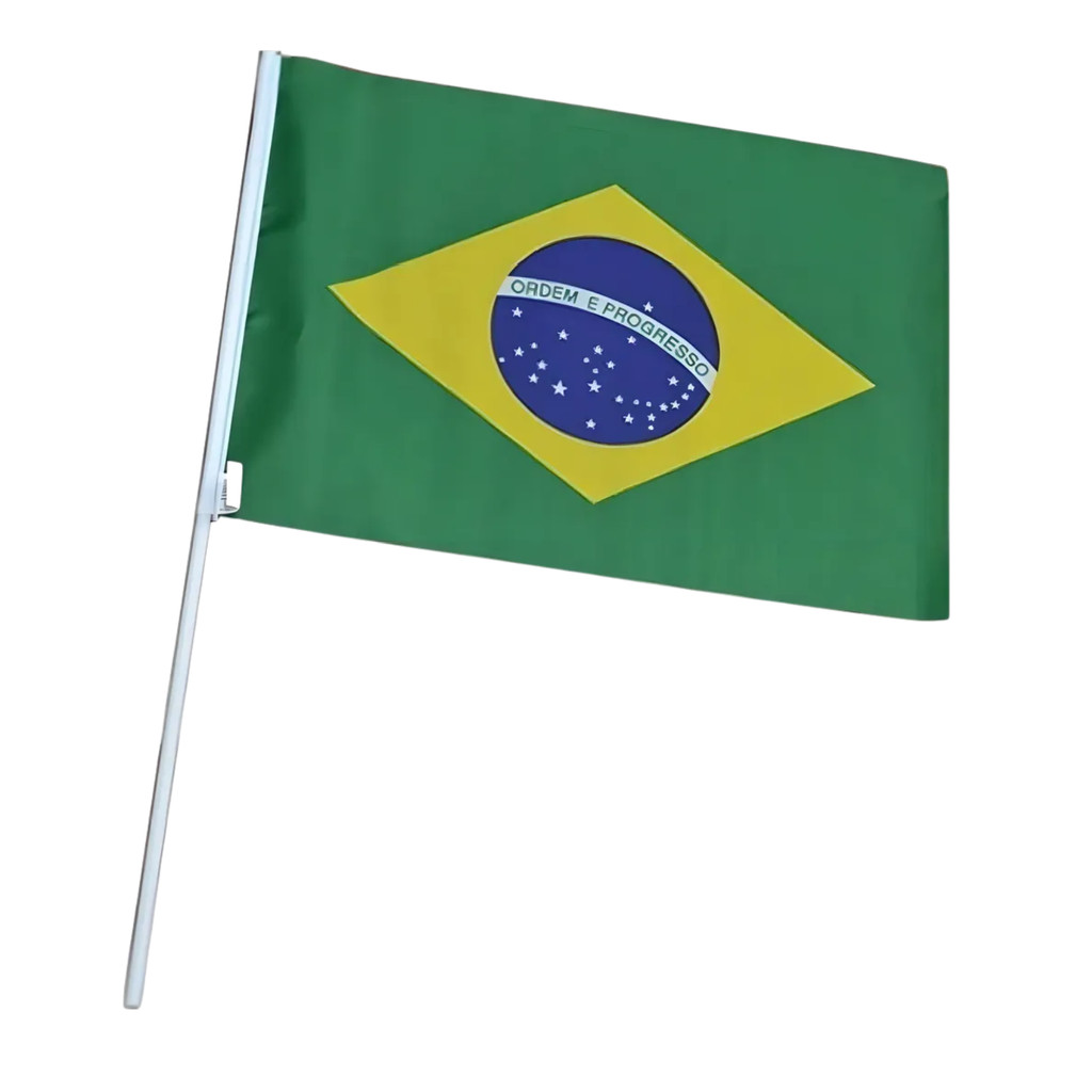 Bandeira Do Brasil 30cm Com Haste Copa Do Mundo Silver Festa