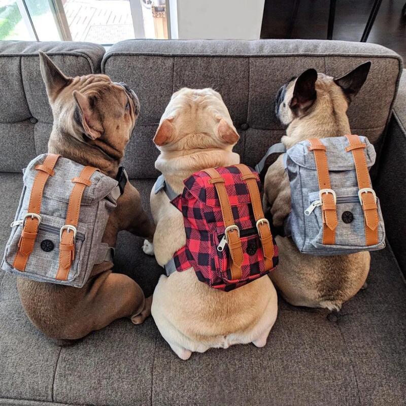 Mochila de Viagem Estilo Preppy para Cães Bulldog, Arnês para Cães Pequenos e Médios, Bolsa de Transporte para Animais d