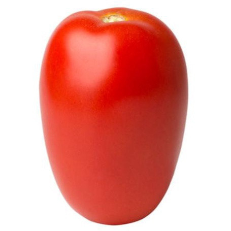 fácil de levantar 1.500 Sementes de Tomate Híbrido Kandya