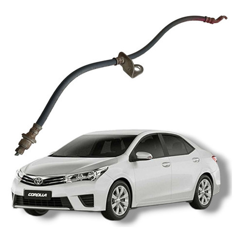Flexível Freio Traseiro Direito Toyota Corolla 2016