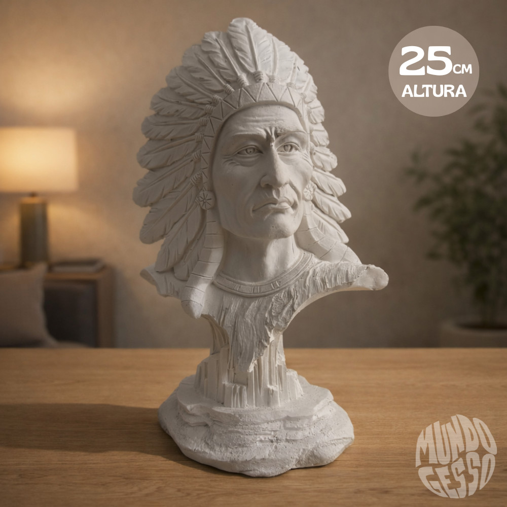 Imagem Busto Índio - 25x17x09cm em Gesso para Pintar Grande