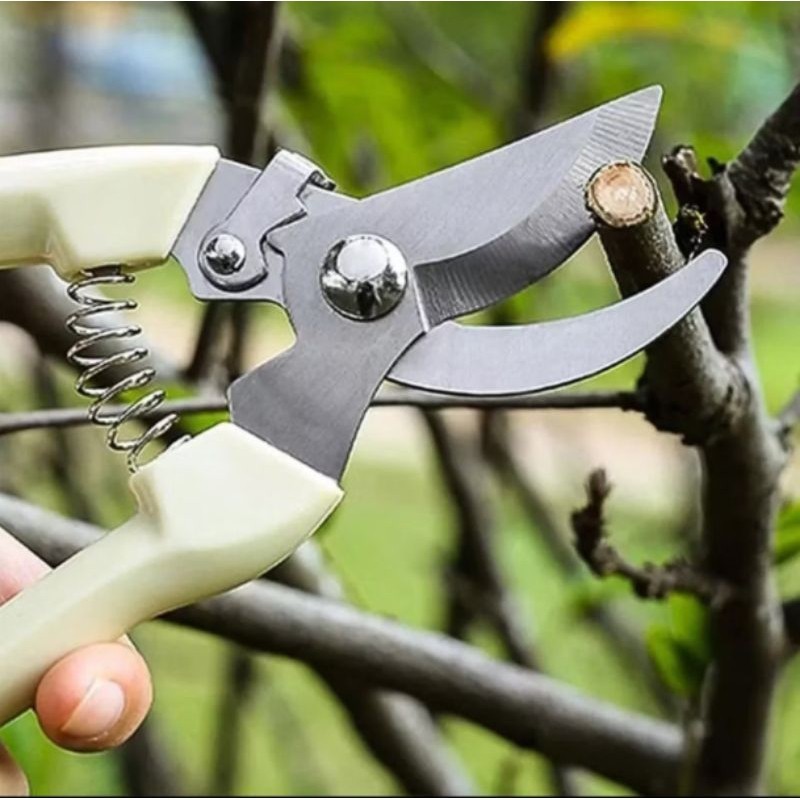 Tesoura De Poda Hagra Jardinagem Árvores Plantas Bonsai em Oferta na Shopee