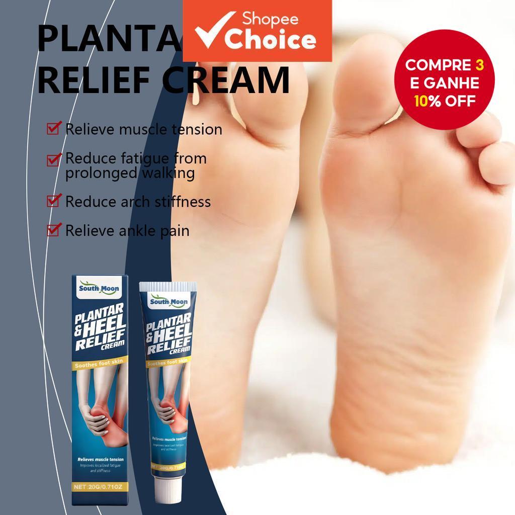 O que é Cavalo Castanha? Guia e Onde Comprar | BuscaProdutos