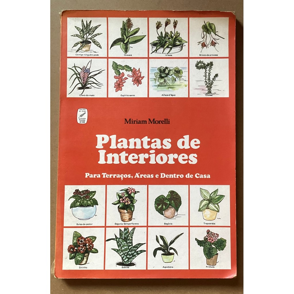 Plantas de Interiores - Para Terraços, Áreas e Dentro de Casa de Miriam Morelli 7954757