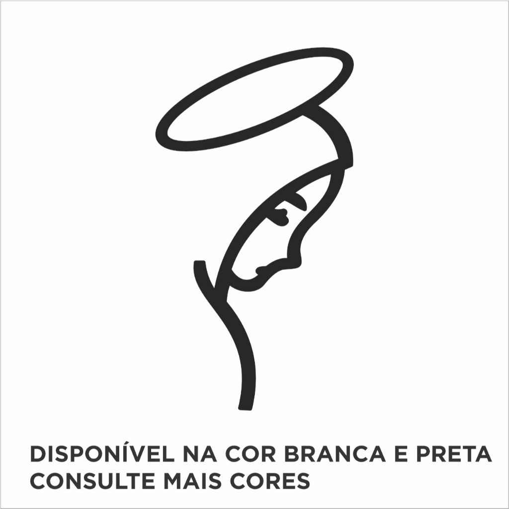 Adesivo Face Rosto de Ave Maria Caminhão Para-Brisa CARRO CAMINHÃO