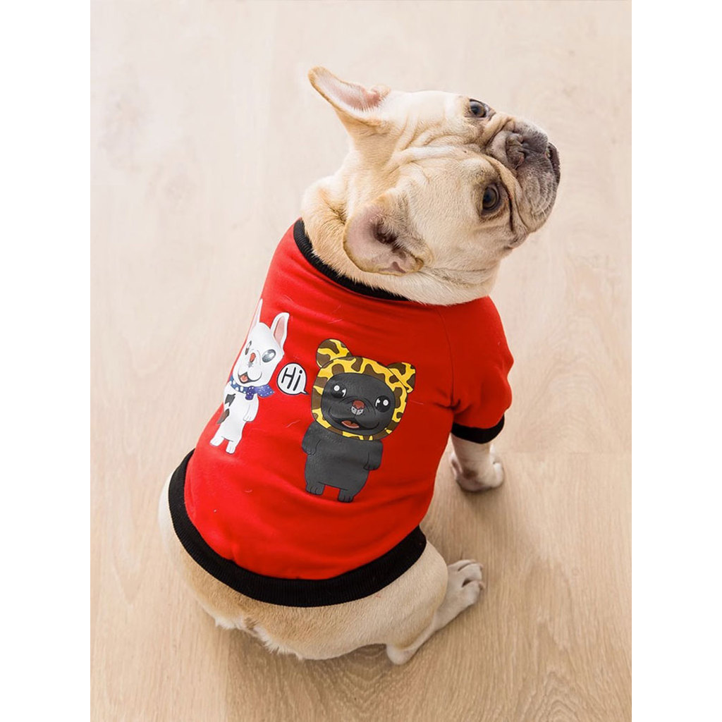 Bulldog francês filhote de cachorro primavera outono fino buldogue francês pug buldogue francês pug Pet cão médio outono