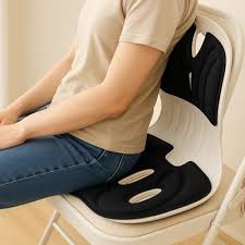 Assento Ortopédico Apoio Lombar: Onde Comprar | BuscaProdutos