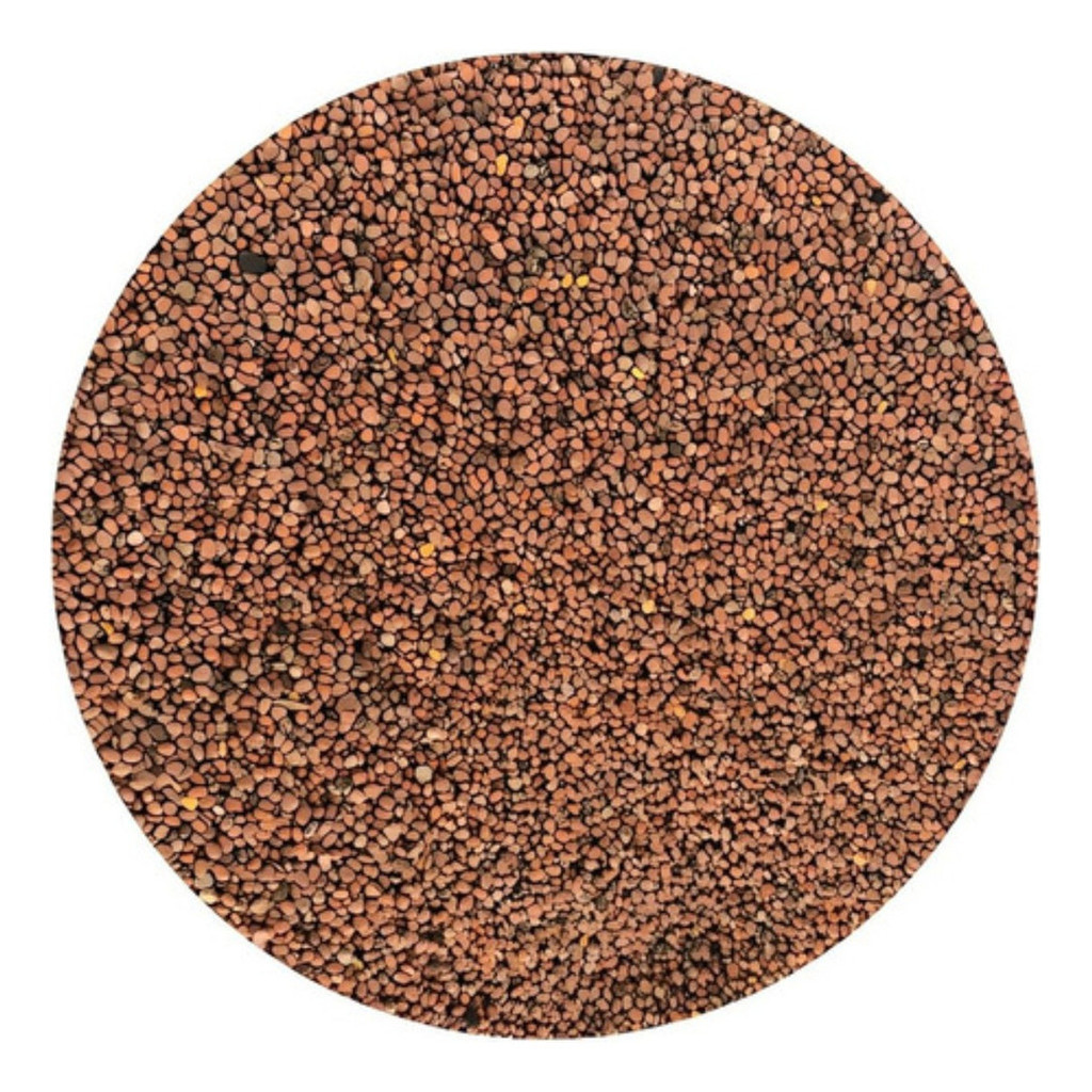 1000 Sementes de Nabo Forrageiro (Rabanete Forrageiro) Alta Germinação | Adubo Verde Cobertura do Solo