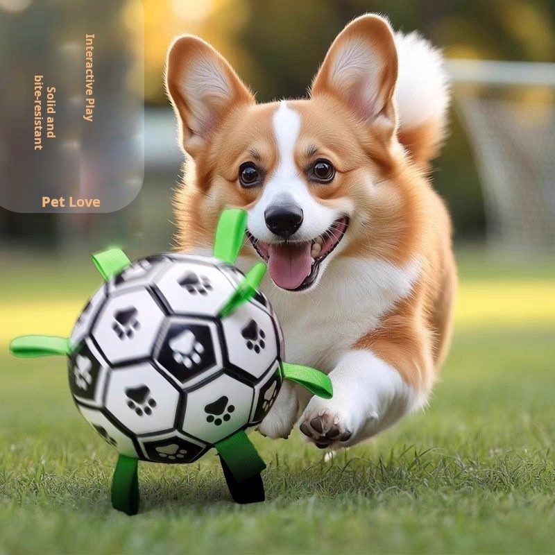 Brinquedo de futebol para animais de estimação, brinquedo interativo, disponível em várias cores