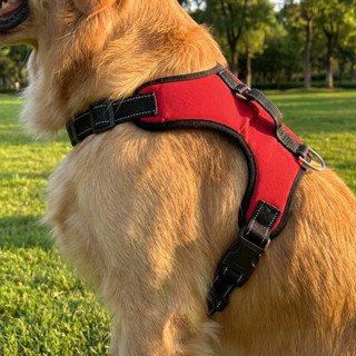 Coleira Peitoral Para Cães de Médio e Grande Porte Colorida Estampada em Oferta na Shopee