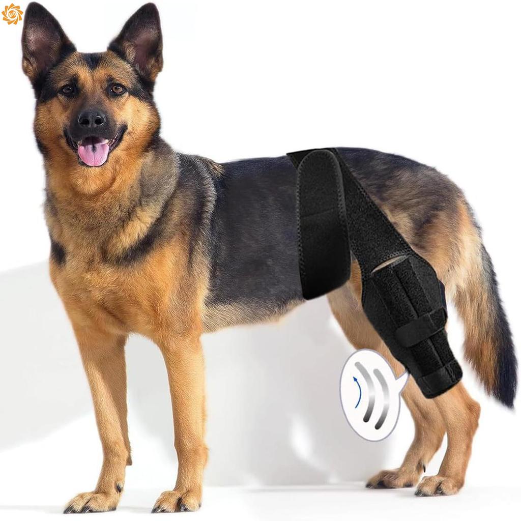Joelheira Para Cachorro Rasgada Acl Perna Traseira Suporte Forte Cinta De Cães Grandes E Pequenos