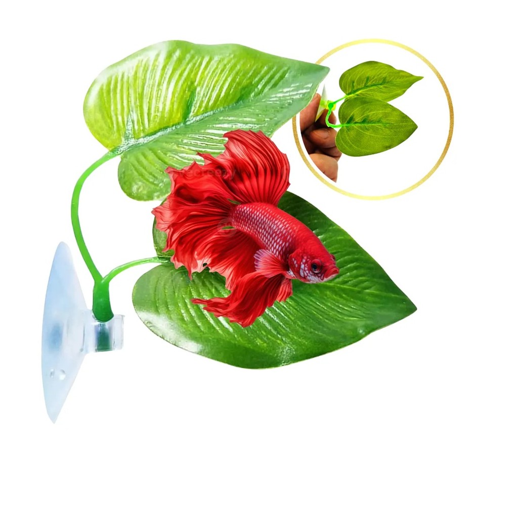 Folha Dupla Descanso Beteira Enfeite Cama Peixe Betta Blv200 em Oferta na Shopee