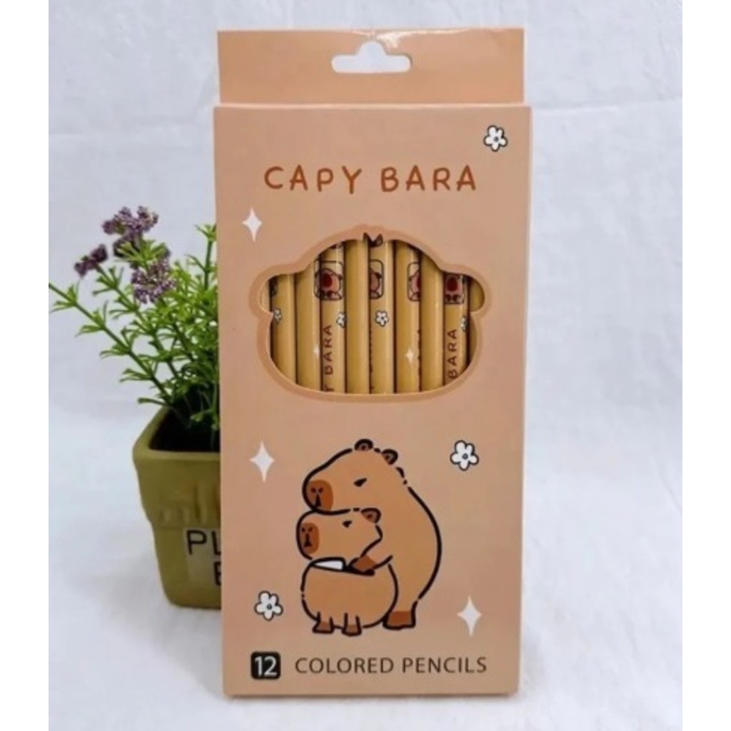 Lápis de Cor Capivara Kit 6 ou 12 Cores – Infantil e Escolar em Oferta na Shopee